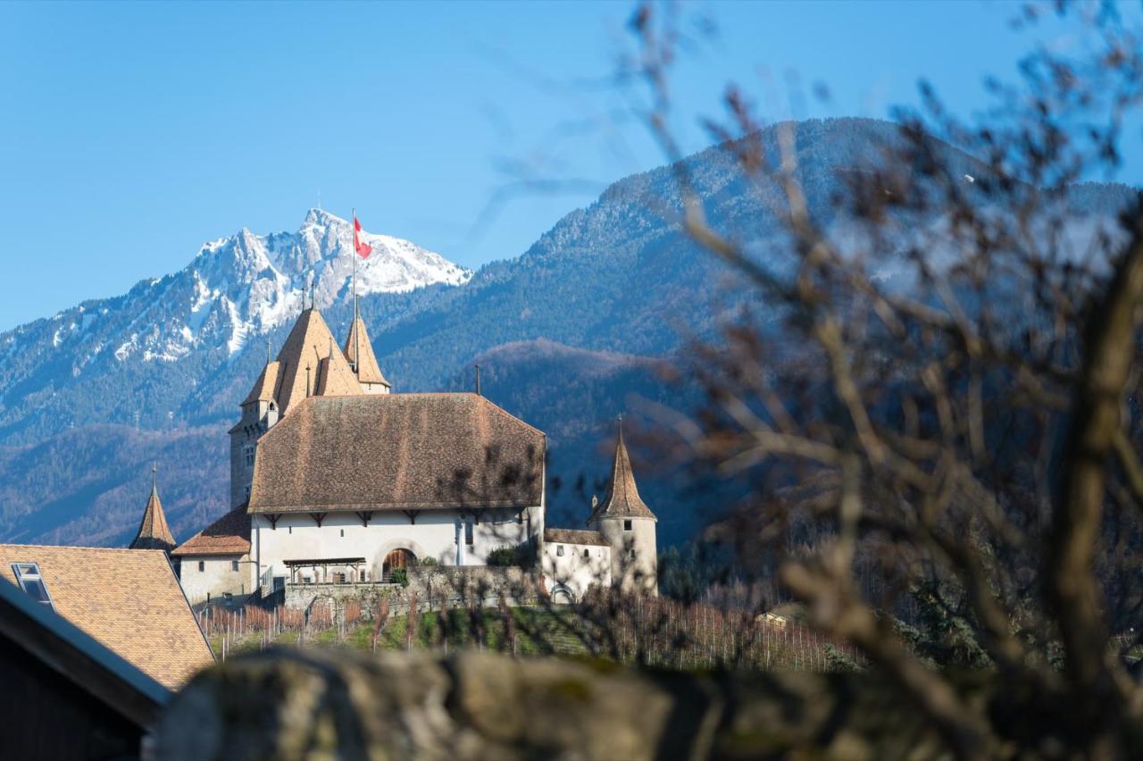 Nonanteneuf Appart Hotel Aigle - Contactless Check-In Экстерьер фото